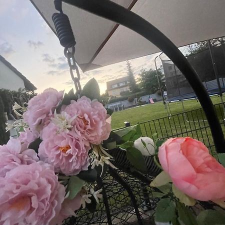 Ferienwohnung Marie Rüdesheim am Rhein Εξωτερικό φωτογραφία