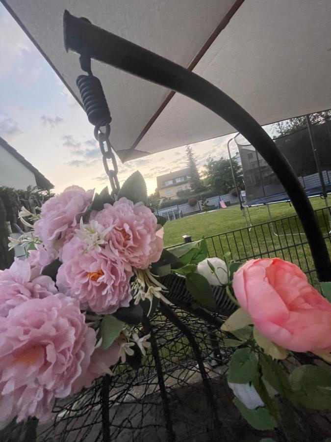 Ferienwohnung Marie Rüdesheim am Rhein Εξωτερικό φωτογραφία